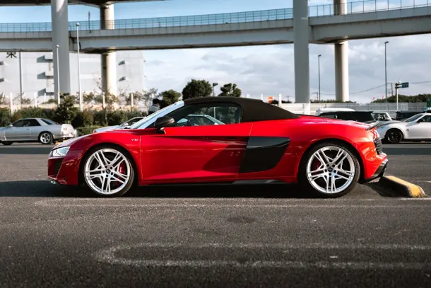 Casino Wizard Slots App Android/iOS